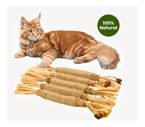 Purriq Doğal Gümüş Asma Diş Çubukları