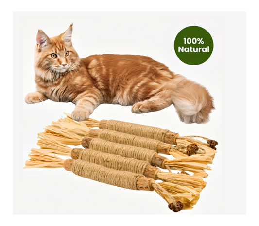 Purriq Doğal Gümüş Asma Diş Çubukları